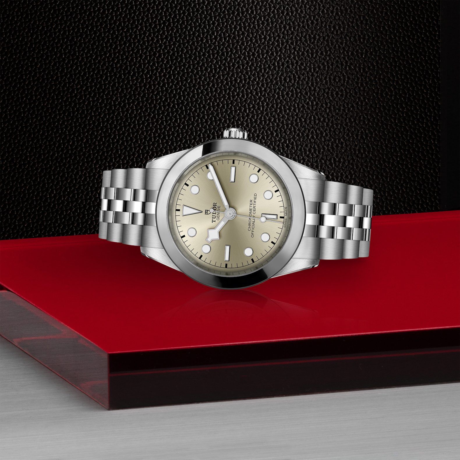 TUDOR Black Bay 39 at Meridian Jewelers