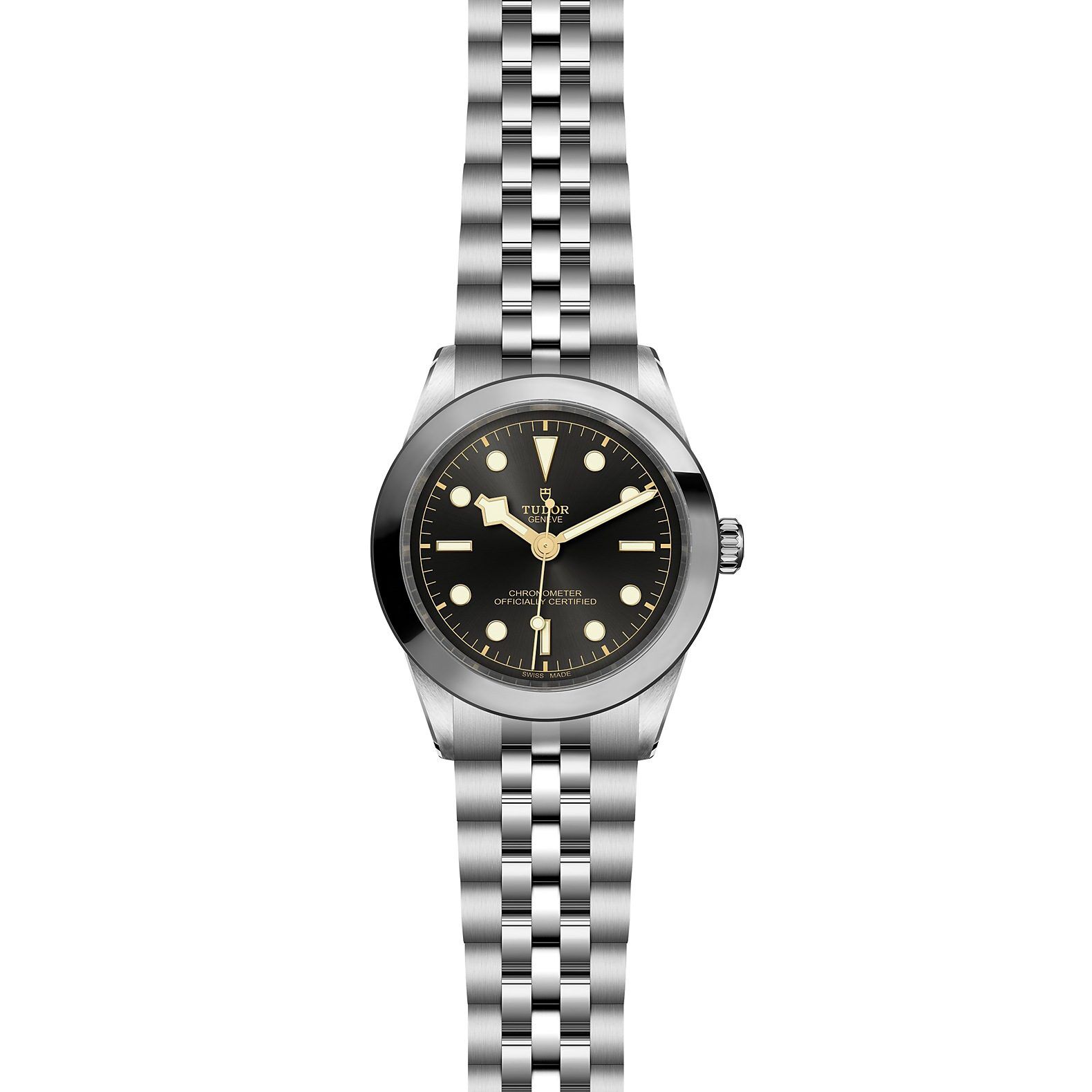 TUDOR Black Bay 39 at Meridian Jewelers